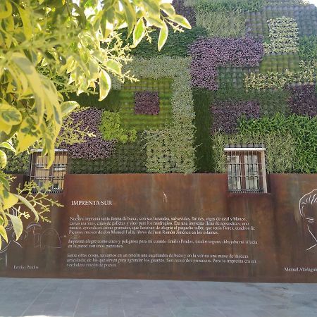 Acogedor Y Moderno Estudio En Capuchinos Málaga Exteriör bild