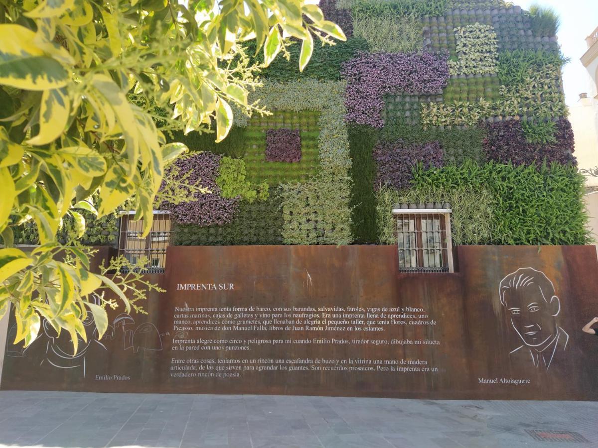Acogedor Y Moderno Estudio En Capuchinos Málaga Exteriör bild